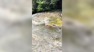 Danifae (Dani Fae aka itsdanifae) OnlyFans Leaks daniandsebastian danifae2.0 Blondie Porn 26