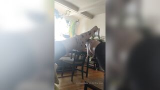 Sluttypotato (Ashe aka Slutty Potato) OnlyFans Leaks MissAsheGrey potatosoup xcherrypotato Happening Porn 242