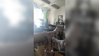 Sluttypotato (Ashe aka Slutty Potato) OnlyFans Leaks MissAsheGrey potatosoup xcherrypotato Happening Porn 242