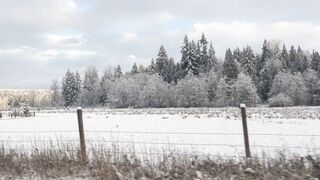 Sluttypotato (Ashe aka Slutty Potato) OnlyFans Leaks MissAsheGrey potatosoup xcherrypotato Happening Porn 177