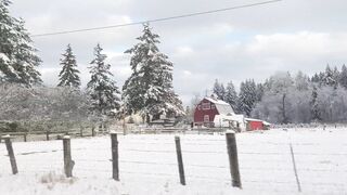 Sluttypotato (Ashe aka Slutty Potato) OnlyFans Leaks MissAsheGrey potatosoup xcherrypotato Happening Porn 177