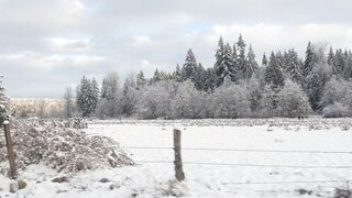 Sluttypotato (Ashe aka Slutty Potato) OnlyFans Leaks MissAsheGrey potatosoup xcherrypotato Happening Porn 177