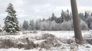 Sluttypotato (Ashe aka Slutty Potato) OnlyFans Leaks MissAsheGrey potatosoup xcherrypotato Happening Porn 177