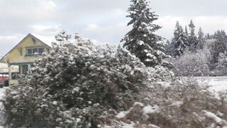 Sluttypotato (Ashe aka Slutty Potato) OnlyFans Leaks MissAsheGrey potatosoup xcherrypotato Happening Porn 177