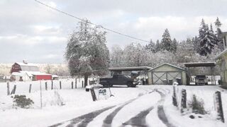 Sluttypotato (Ashe aka Slutty Potato) OnlyFans Leaks MissAsheGrey potatosoup xcherrypotato Happening Porn 177