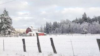 Sluttypotato (Ashe aka Slutty Potato) OnlyFans Leaks MissAsheGrey potatosoup xcherrypotato Happening Porn 177