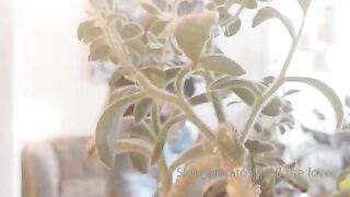 Sluttypotato (Ashe aka Slutty Potato) OnlyFans Leaks MissAsheGrey potatosoup xcherrypotato Happening Porn 128