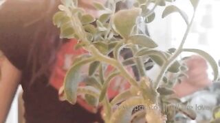 Sluttypotato (Ashe aka Slutty Potato) OnlyFans Leaks MissAsheGrey potatosoup xcherrypotato Happening Porn 128