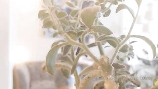 Sluttypotato (Ashe aka Slutty Potato) OnlyFans Leaks MissAsheGrey potatosoup xcherrypotato Happening Porn 128