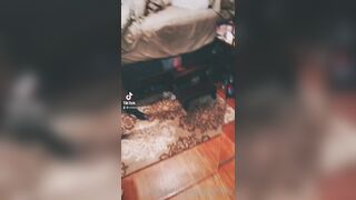 Spoo0oky (Isabella aka Spoo0okyboo) OnlyFans Leaks Long Island Hot Milf Porn Video  220