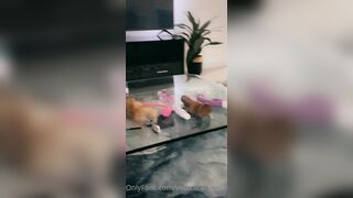 Veronicaperasso (Veronica Perasso aka veronicaperass) OnlyFans Leaks Arizona Hot Babe Penthouse Pet 212