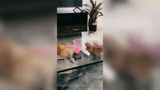 Veronicaperasso (Veronica Perasso aka veronicaperass) OnlyFans Leaks Arizona Hot Babe Penthouse Pet 212