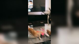 Veronicaperasso (Veronica Perasso aka veronicaperass) OnlyFans Leaks Arizona Hot Babe Penthouse Pet 212