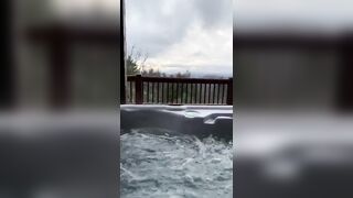 Veronicaperasso (Veronica Perasso aka veronicaperass) OnlyFans Leaks Arizona Hot Babe Penthouse Pet 4