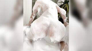 Veronicaperasso (Veronica Perasso aka veronicaperass) OnlyFans Leaks Arizona Hot Babe Penthouse Pet 283