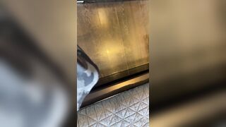 Veronicaperasso (Veronica Perasso aka veronicaperass) OnlyFans Leaks Arizona Hot Babe Penthouse Pet 37