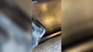 Veronicaperasso (Veronica Perasso aka veronicaperass) OnlyFans Leaks Arizona Hot Babe Penthouse Pet 37