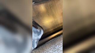 Veronicaperasso (Veronica Perasso aka veronicaperass) OnlyFans Leaks Arizona Hot Babe Penthouse Pet 37