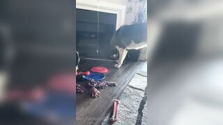 Rebeccabenedictvip (Rebecca Benedict) OnlyFans Leaks ebecca___benedict da_bex Hot Asian Chinese 5