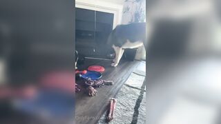 Rebeccabenedictvip (Rebecca Benedict) OnlyFans Leaks ebecca___benedict da_bex Hot Asian Chinese 5