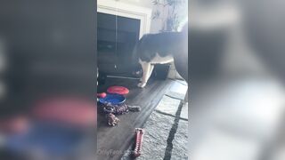 Rebeccabenedictvip (Rebecca Benedict) OnlyFans Leaks ebecca___benedict da_bex Hot Asian Chinese 5