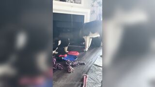 Rebeccabenedictvip (Rebecca Benedict) OnlyFans Leaks ebecca___benedict da_bex Hot Asian Chinese 5