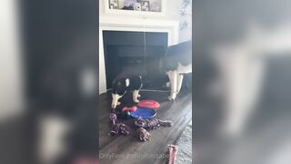 Rebeccabenedictvip (Rebecca Benedict) OnlyFans Leaks ebecca___benedict da_bex Hot Asian Chinese 5