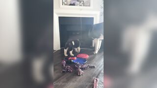 Rebeccabenedictvip (Rebecca Benedict) OnlyFans Leaks ebecca___benedict da_bex Hot Asian Chinese 5