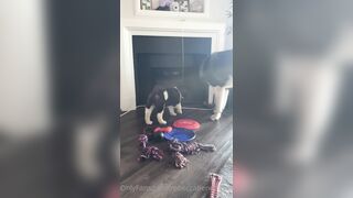 Rebeccabenedictvip (Rebecca Benedict) OnlyFans Leaks ebecca___benedict da_bex Hot Asian Chinese 5