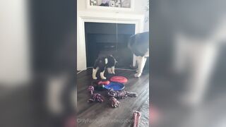 Rebeccabenedictvip (Rebecca Benedict) OnlyFans Leaks ebecca___benedict da_bex Hot Asian Chinese 5