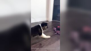 Rebeccabenedictvip (Rebecca Benedict) OnlyFans Leaks ebecca___benedict da_bex Hot Asian Chinese 5