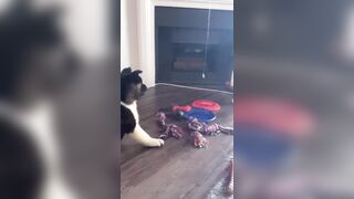 Rebeccabenedictvip (Rebecca Benedict) OnlyFans Leaks ebecca___benedict da_bex Hot Asian Chinese 5