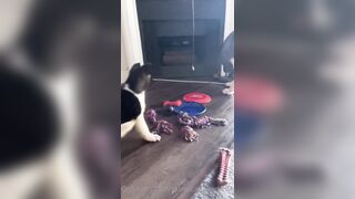 Rebeccabenedictvip (Rebecca Benedict) OnlyFans Leaks ebecca___benedict da_bex Hot Asian Chinese 5