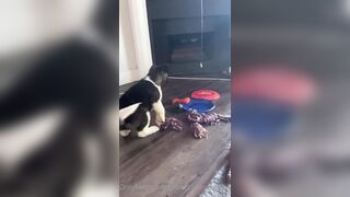 Rebeccabenedictvip (Rebecca Benedict) OnlyFans Leaks ebecca___benedict da_bex Hot Asian Chinese 5