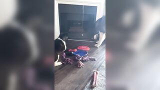 Rebeccabenedictvip (Rebecca Benedict) OnlyFans Leaks ebecca___benedict da_bex Hot Asian Chinese 5