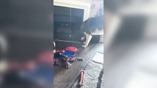 Rebeccabenedictvip (Rebecca Benedict) OnlyFans Leaks ebecca___benedict da_bex Hot Asian Chinese 5