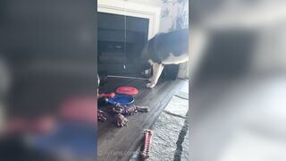 Rebeccabenedictvip (Rebecca Benedict) OnlyFans Leaks ebecca___benedict da_bex Hot Asian Chinese 5