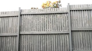 Tigbittyholli2.0 (TigBittyHolli VIP aka TigBittyHolli FREE) OnlyFans Leaks itshollicurtis hollicurtiss Tattoo Girl Porn 289