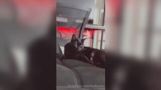 Koibunni (Bunni Lynn aka Bunnilynn aka trashbunni) OnlyFans Leaks waifunion spookbunni Red-haired Babe Porn 570