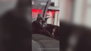 Koibunni (Bunni Lynn aka Bunnilynn aka trashbunni) OnlyFans Leaks waifunion spookbunni Red-haired Babe Porn 570