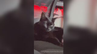 Koibunni (Bunni Lynn aka Bunnilynn aka trashbunni) OnlyFans Leaks waifunion spookbunni Red-haired Babe Porn 570