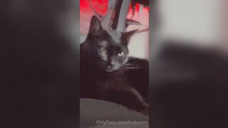 Koibunni (Bunni Lynn aka Bunnilynn aka trashbunni) OnlyFans Leaks waifunion spookbunni Red-haired Babe Porn 570