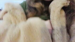 Belfastbelle (Belfast aka Belfast Belle aka belfastmovie) OnlyFans Leaks Redhead Northern Irish Girl Next Door Gone Bad Porn Video 43