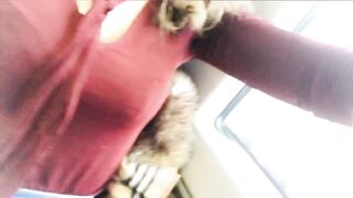 Belfastbelle (Belfast aka Belfast Belle aka belfastmovie) OnlyFans Leaks Redhead Northern Irish Girl Next Door Gone Bad Porn Video 22