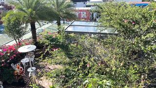 Alanaaraya (Alana Araya aka alanaallovertheplace) OnlyFans Leaks Average Girl Next Door Getting Naughty Porn Video 9