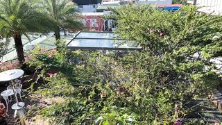 Alanaaraya (Alana Araya aka alanaallovertheplace) OnlyFans Leaks Average Girl Next Door Getting Naughty Porn Video 9