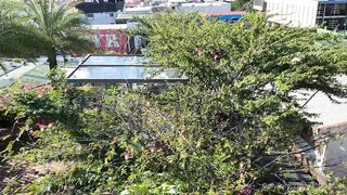 Alanaaraya (Alana Araya aka alanaallovertheplace) OnlyFans Leaks Average Girl Next Door Getting Naughty Porn Video 9