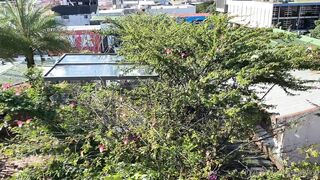 Alanaaraya (Alana Araya aka alanaallovertheplace) OnlyFans Leaks Average Girl Next Door Getting Naughty Porn Video 9