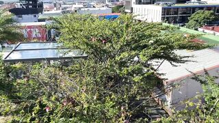 Alanaaraya (Alana Araya aka alanaallovertheplace) OnlyFans Leaks Average Girl Next Door Getting Naughty Porn Video 9