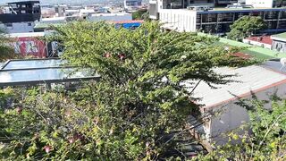 Alanaaraya (Alana Araya aka alanaallovertheplace) OnlyFans Leaks Average Girl Next Door Getting Naughty Porn Video 9